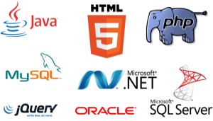software2